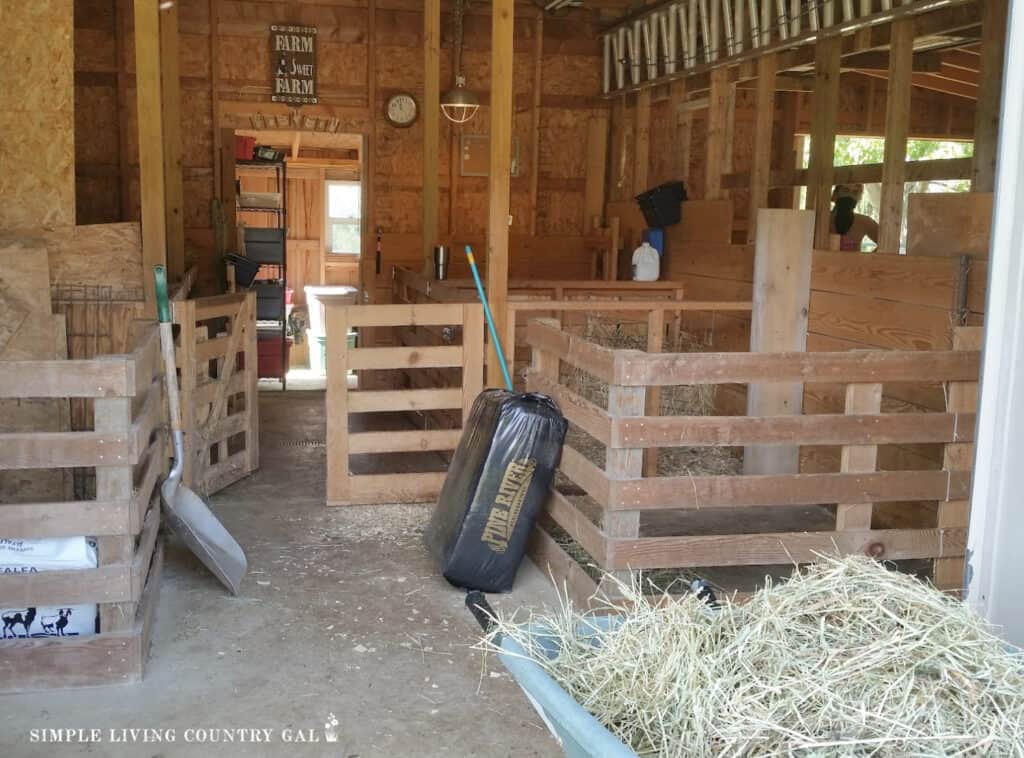 a shovel and fresh bedding in a barn with a wheelbarrow full of soiled hay in the front