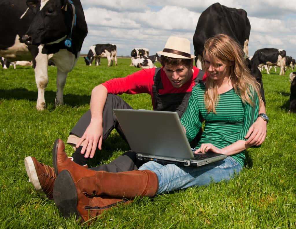 Young couple farmers in farm field with laptop and black and white cows
