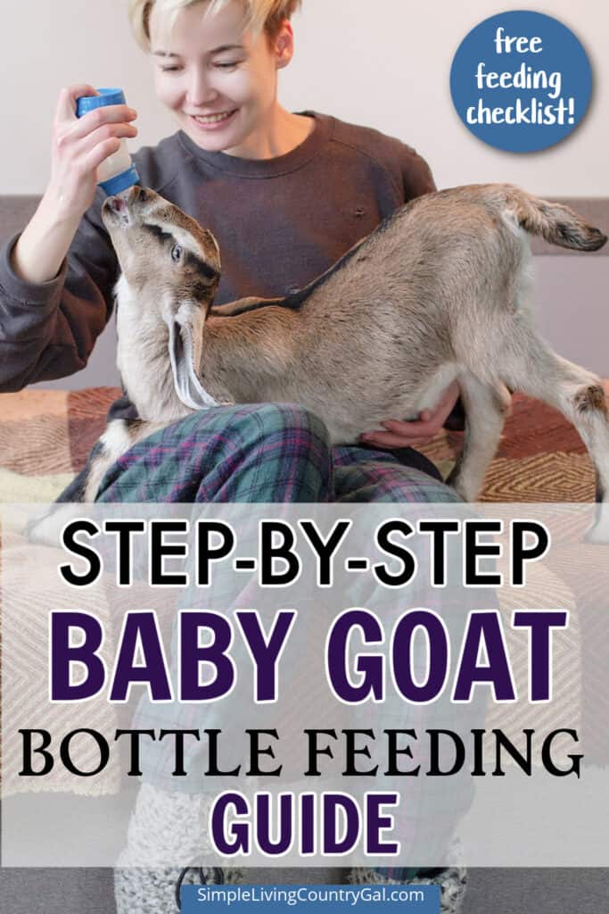 baby goat bottle feeding schedule