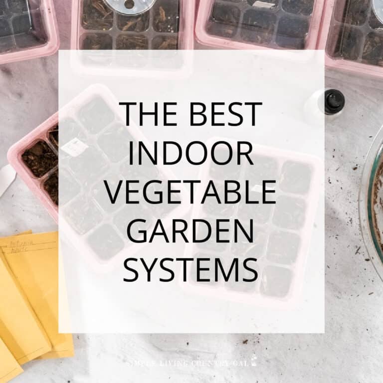 best indoor vegetable garden system