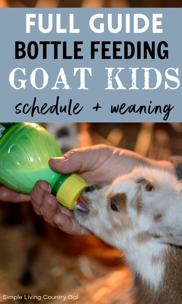 bottle baby goat feeding schedule