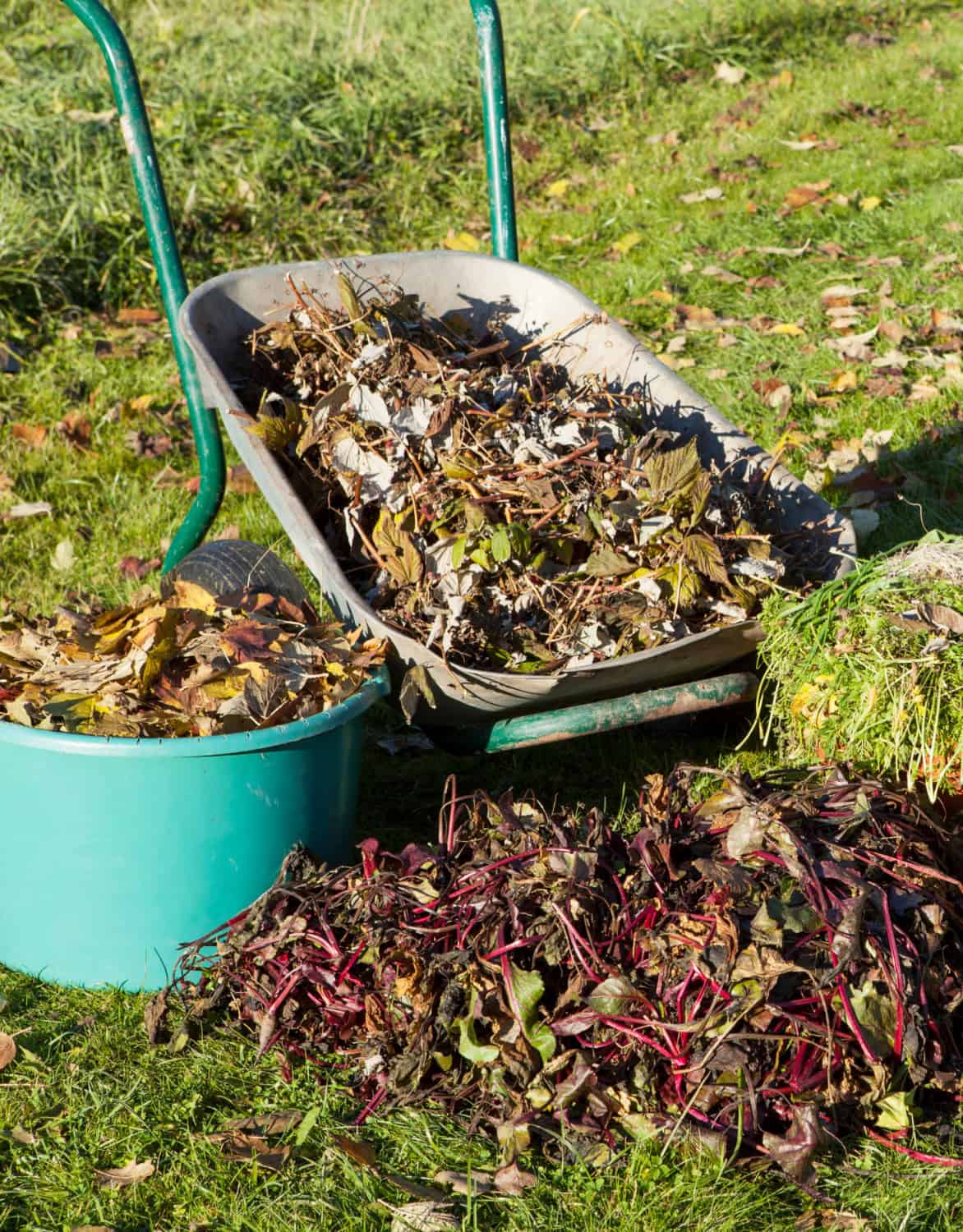 No-Dig Gardening Tips for Beginners | Simple Living Country Gal