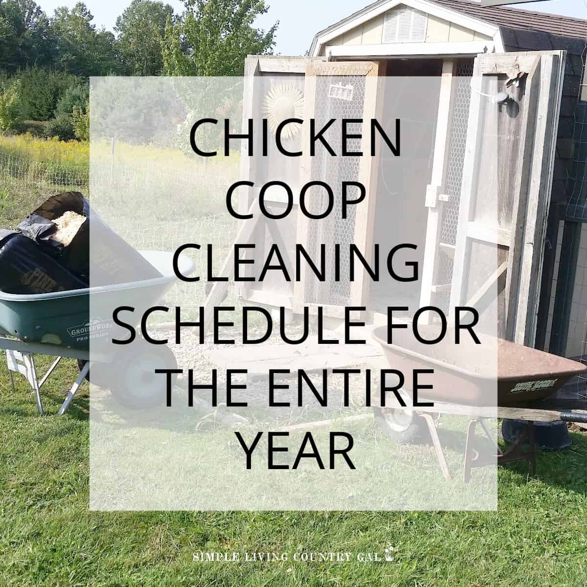 chicken coop cleaning schedule Simple Living Country Gal