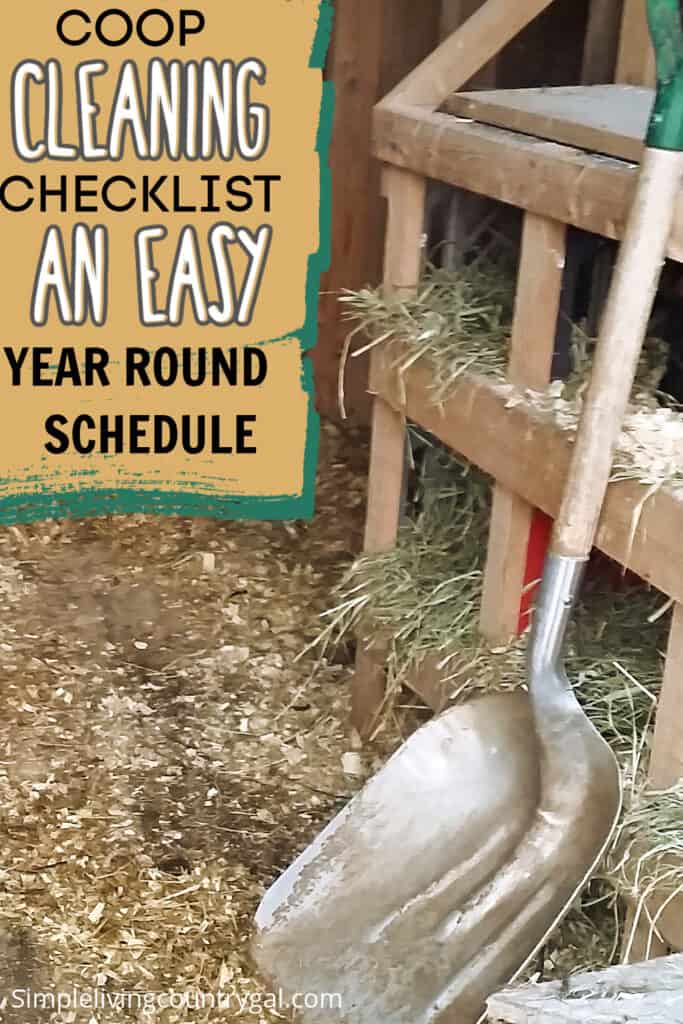 chicken coop cleaning schedule
