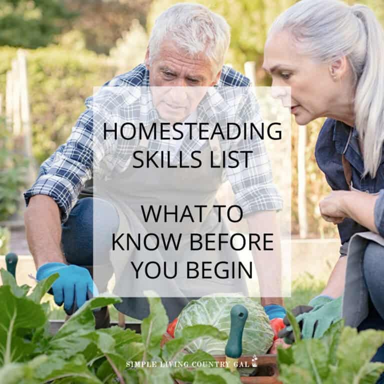 homesteading skills list
