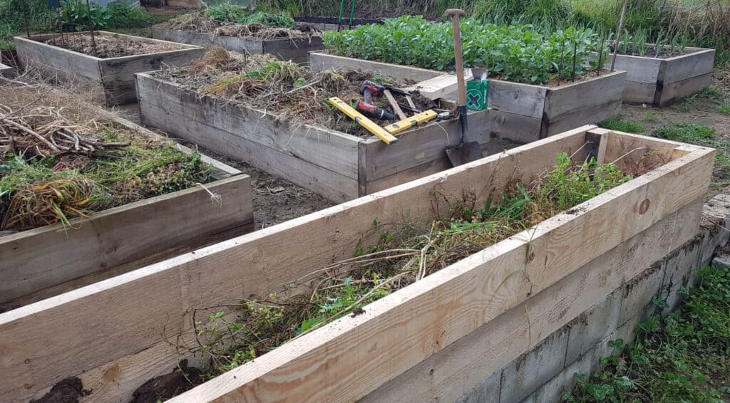 raised beds with organic yard waste inside for lasagna gardening