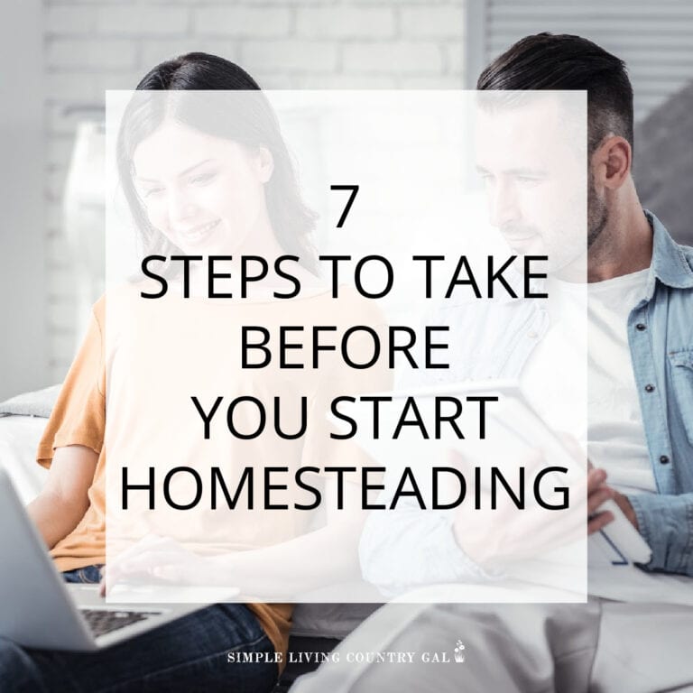 7 steps before you homestead