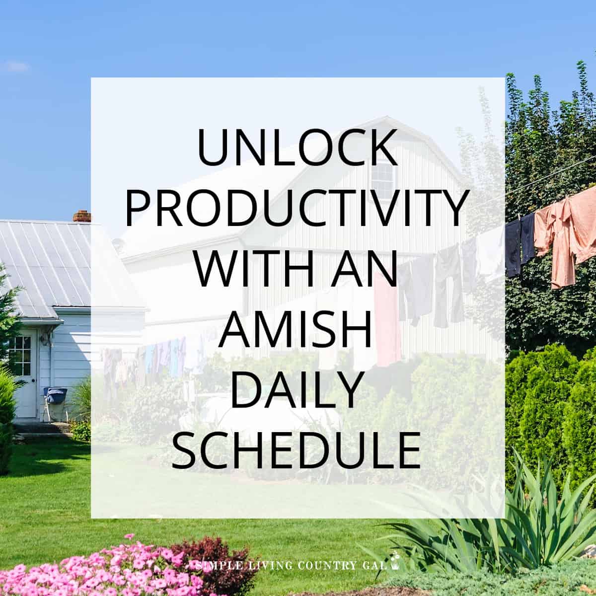 Amish daily schedule Simple Living Country Gal