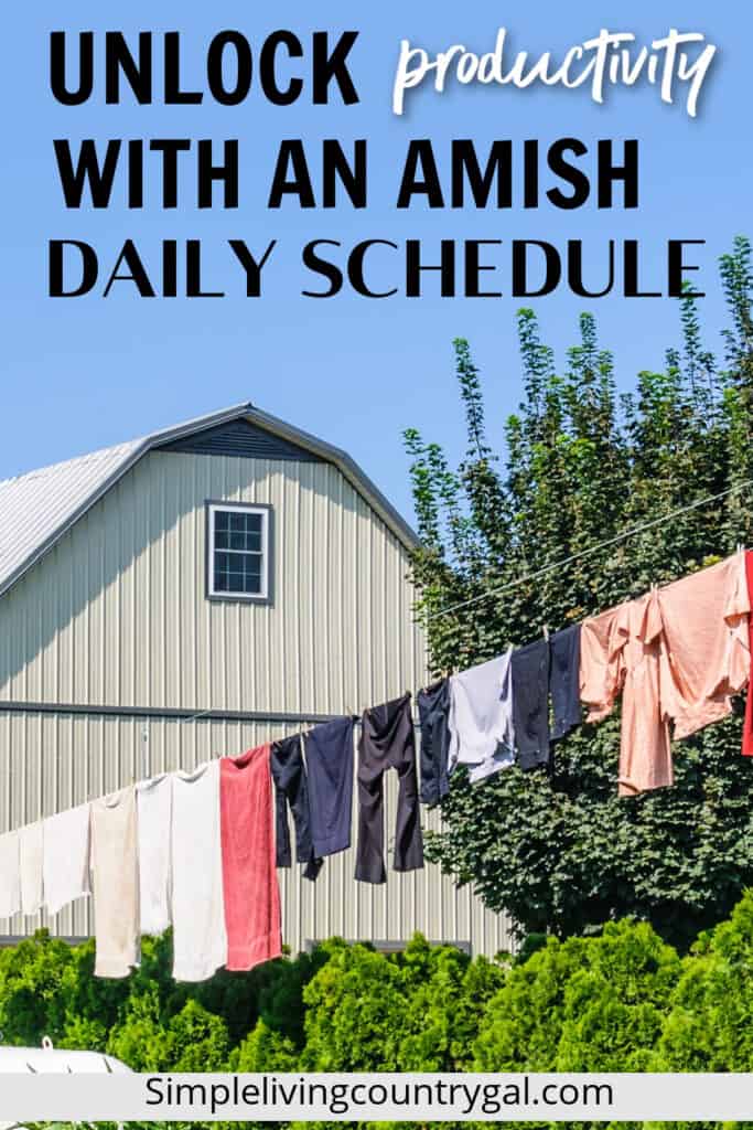 AMISH DAILY SCHEDULE