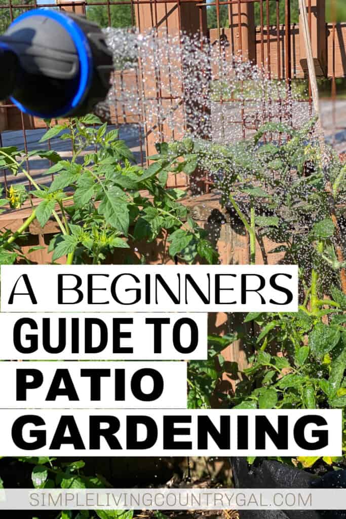 Patio Gardening for Beginners