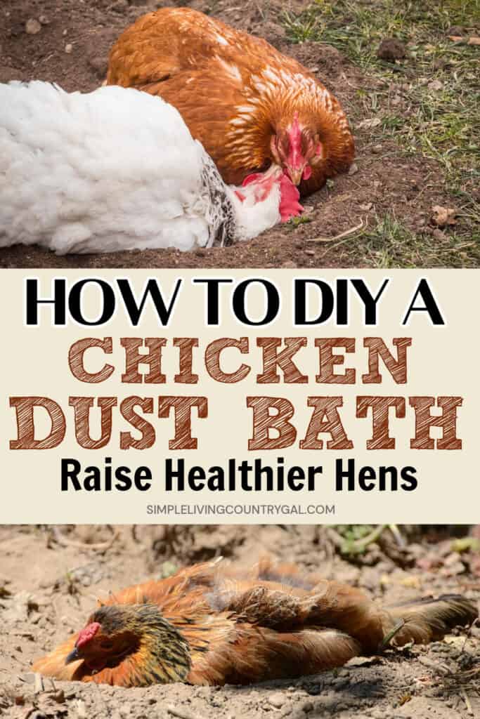 DIY CHICKEN DUST BATH AREA