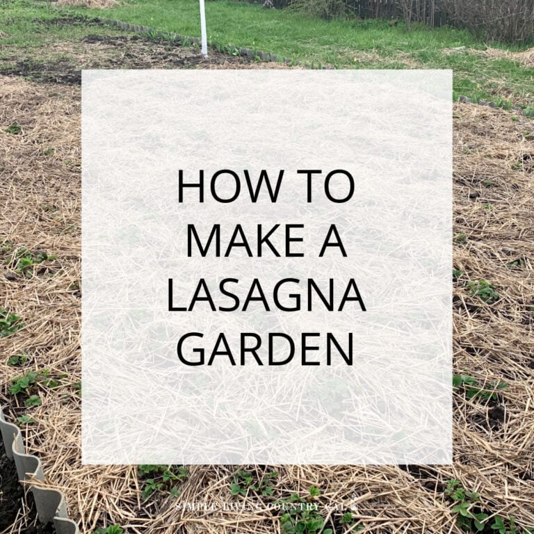 How to Make a Lasagna Garden