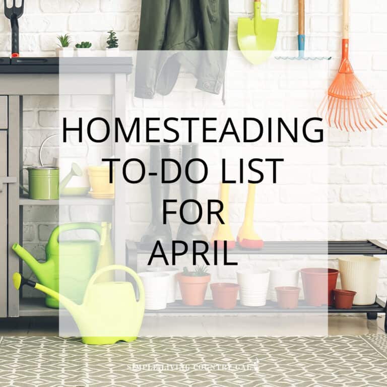 Homesteading April to-do List