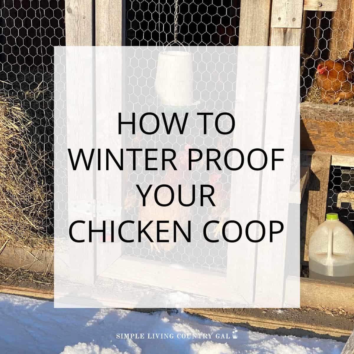 Winterproofing chicken coop Simple Living Country Gal