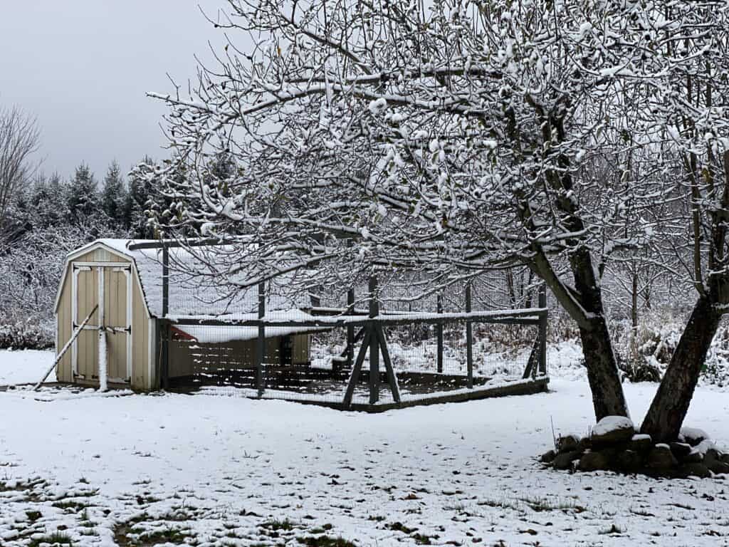 a chicken coop in the snow with a tree in front