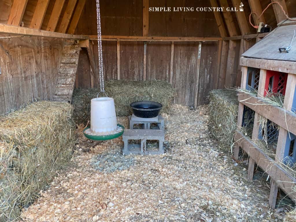 a cold proofed chicken coop with hay bales for insulation