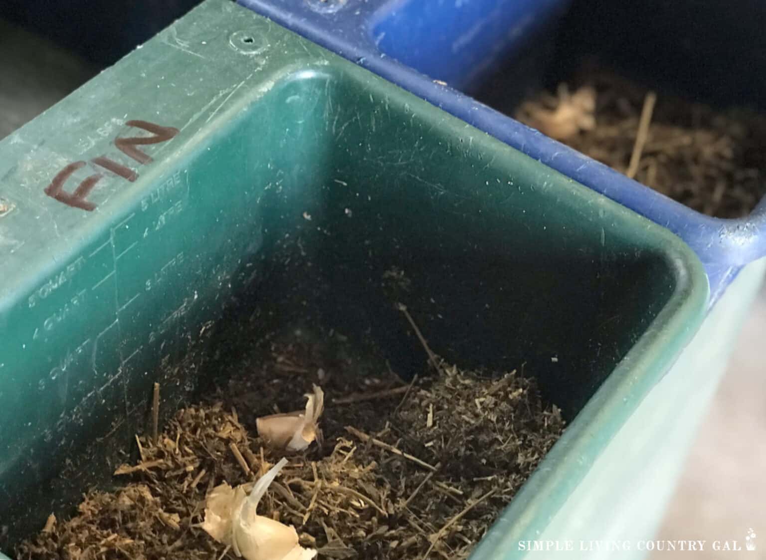 Best Treats for Goats Simple Living Country Gal