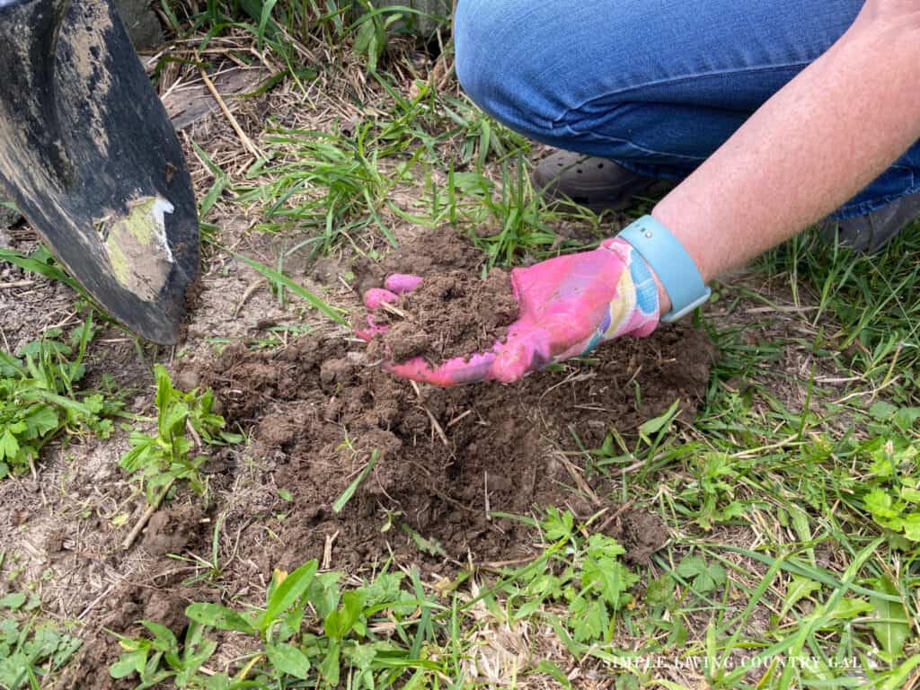 a hand wearing a pink garden glove holding soil next to a shovel