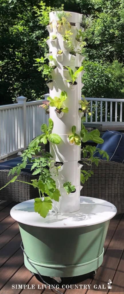a hydroponic vertical garden sitting in the sun on an outside patio