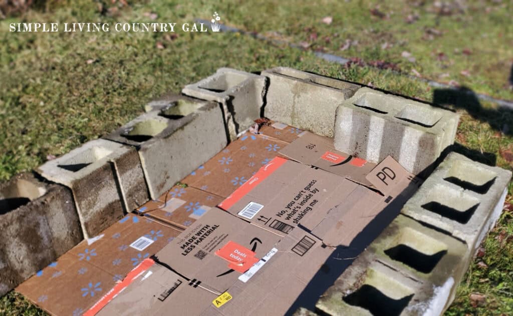 a lasagna garden with cinder blocks as a boarder with cardboard in the middle (1)