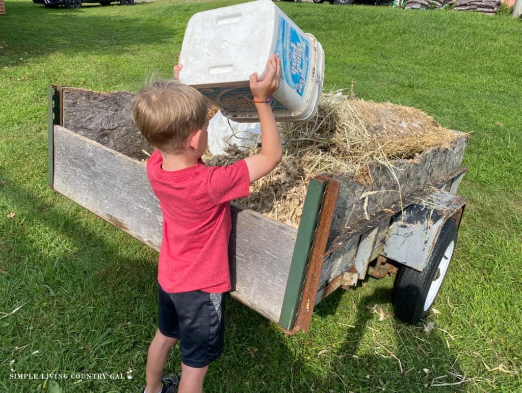 a little boy in a red shirt dumping a white bucket of bedding into a cart