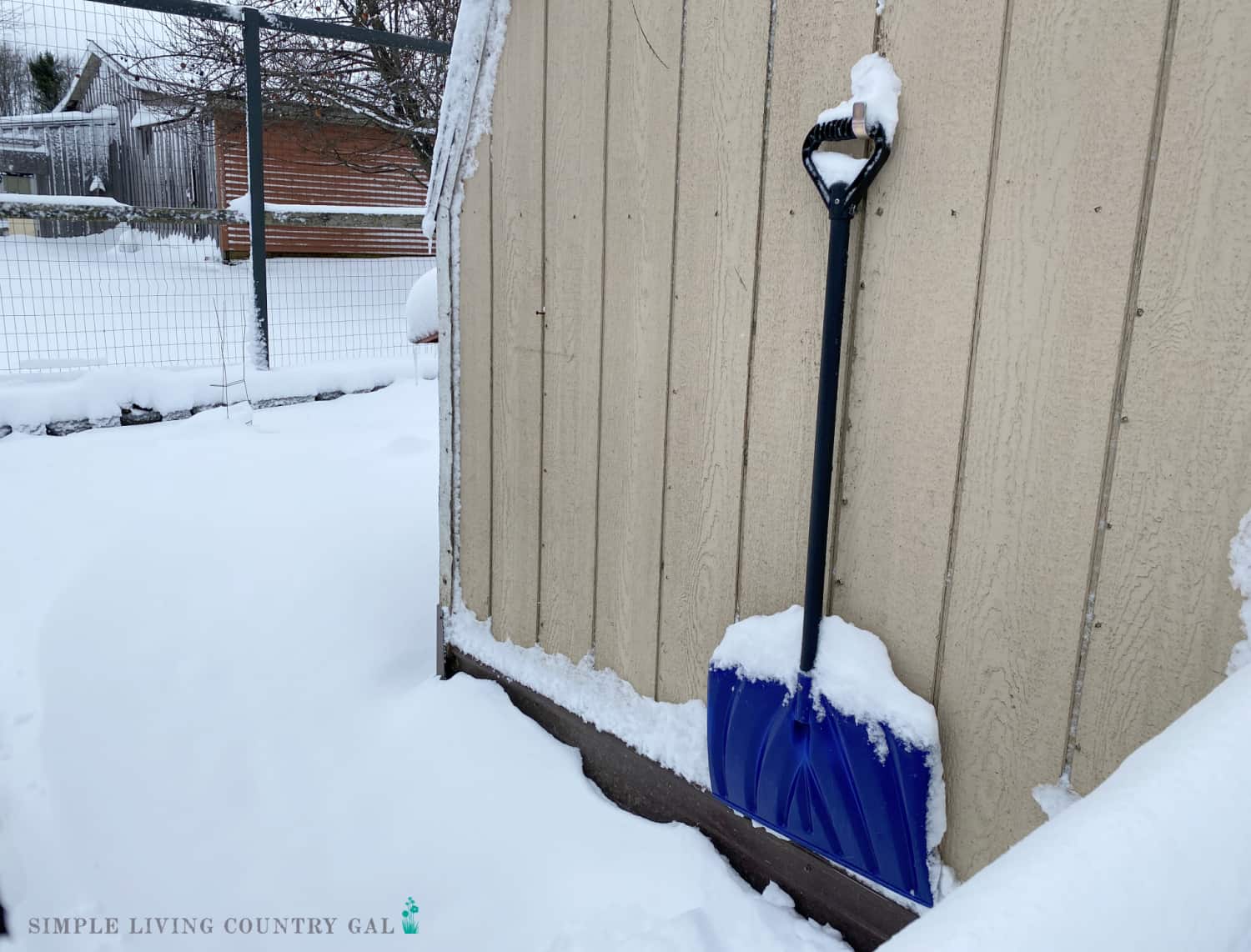 How to Keep FreeRange Chickens Warm in Winter Simple Living Country Gal