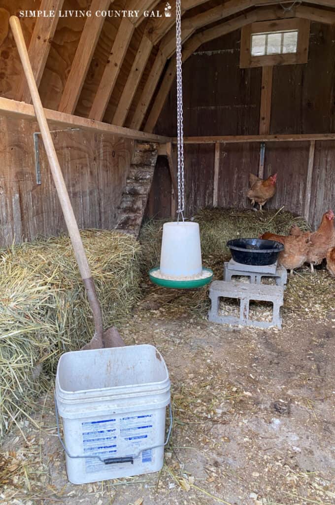 a white bucket and shove in a coop for cleaning