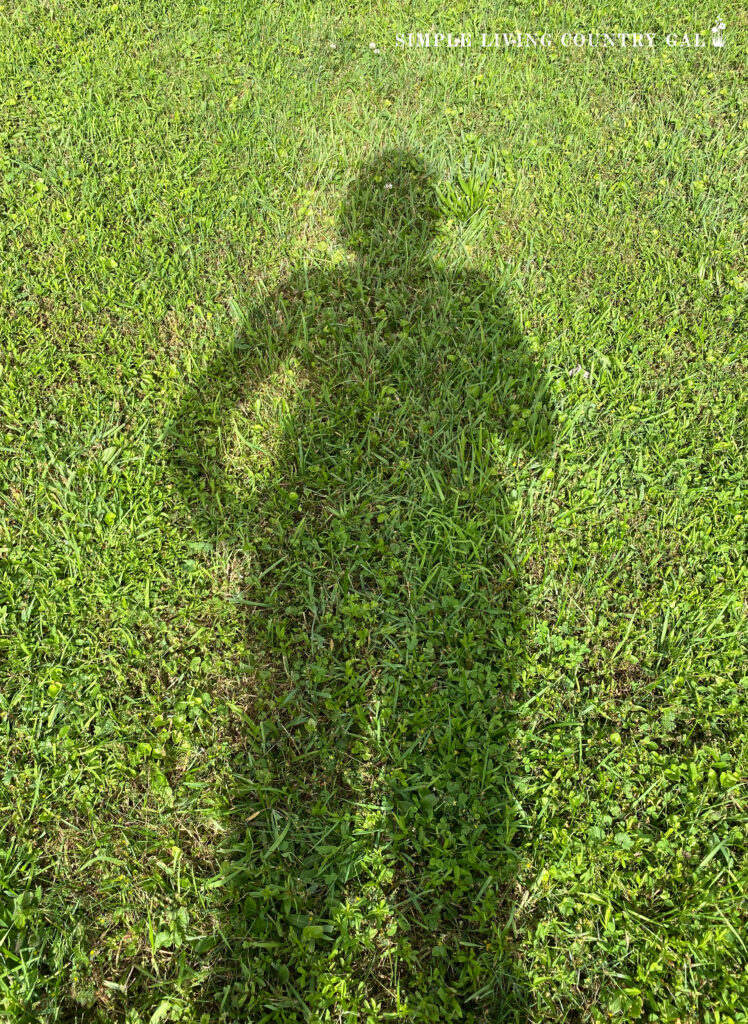 a woman's shadow on green grass of a potential garden