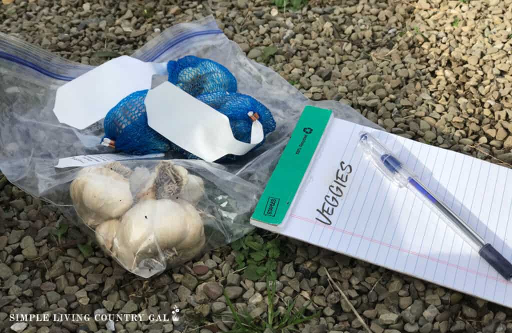 bag of garlic next to a pad of paper for planning a beginner garden