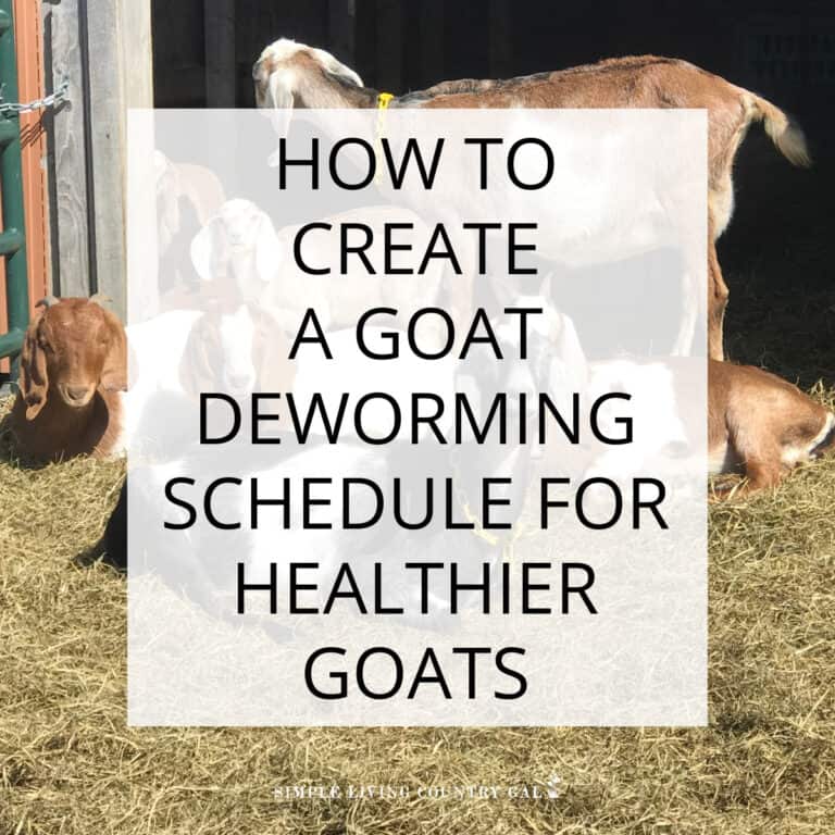 Goat Deworming Schedule