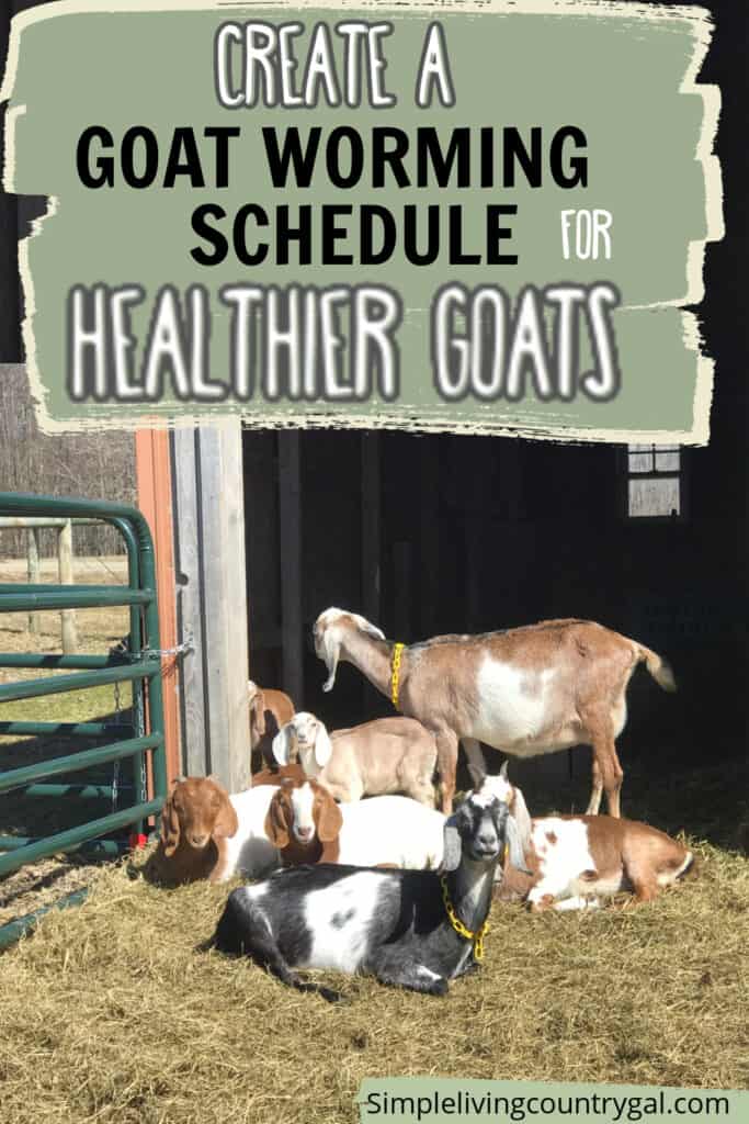 goat deworming schedule