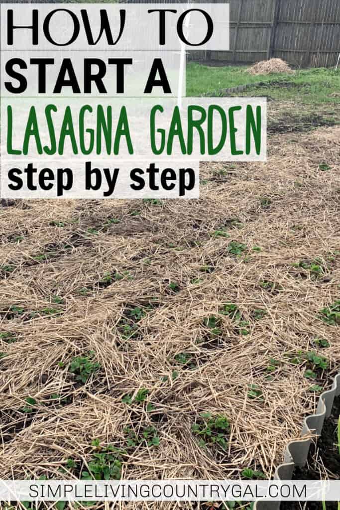 how to start a lasagna garden
