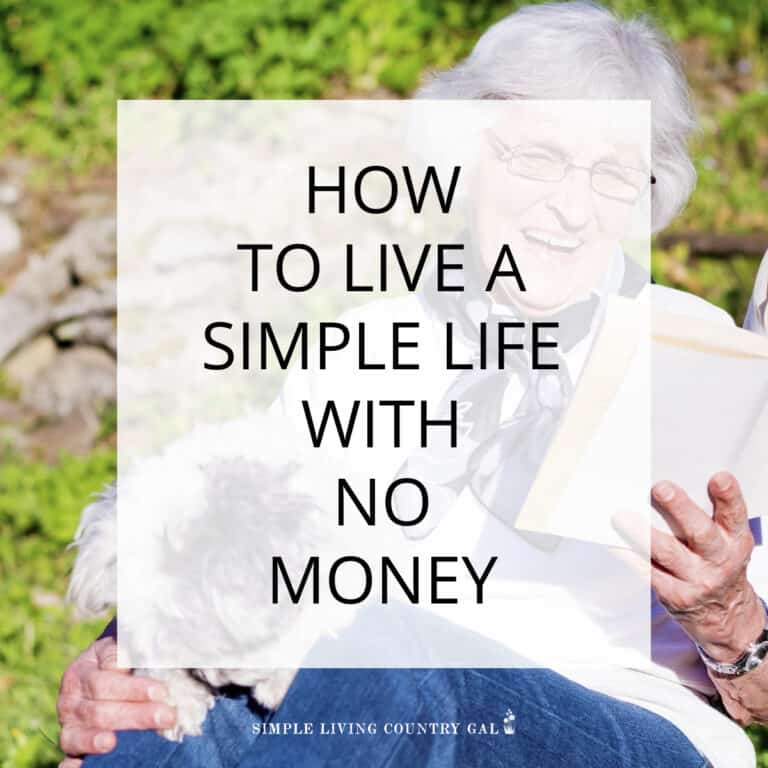 Living a Simple Life With Little Money