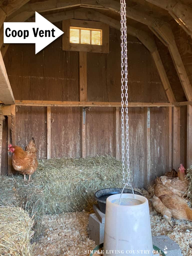the inside of a coop that has been winter proofed