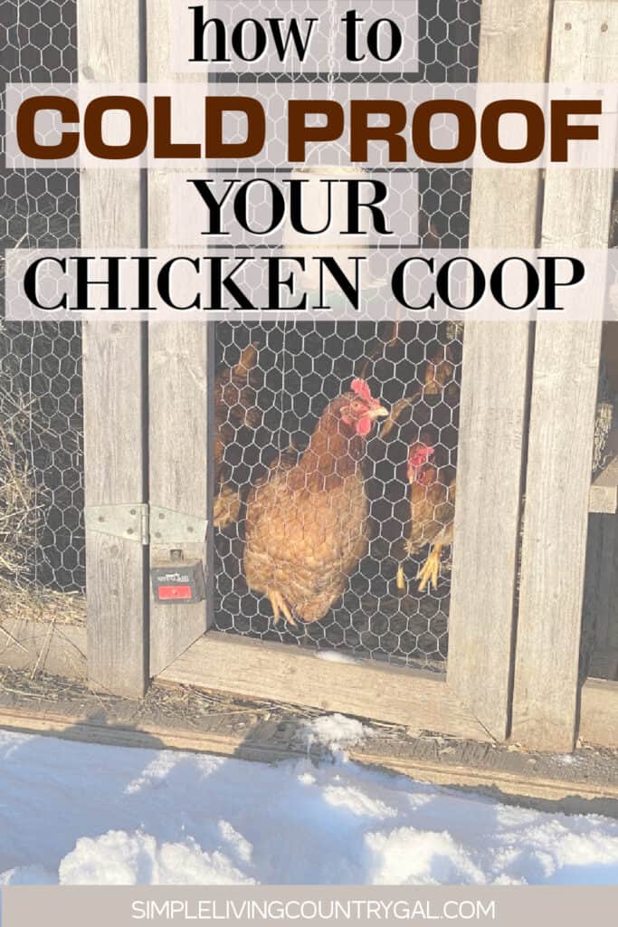 winter proofing chicken coop
