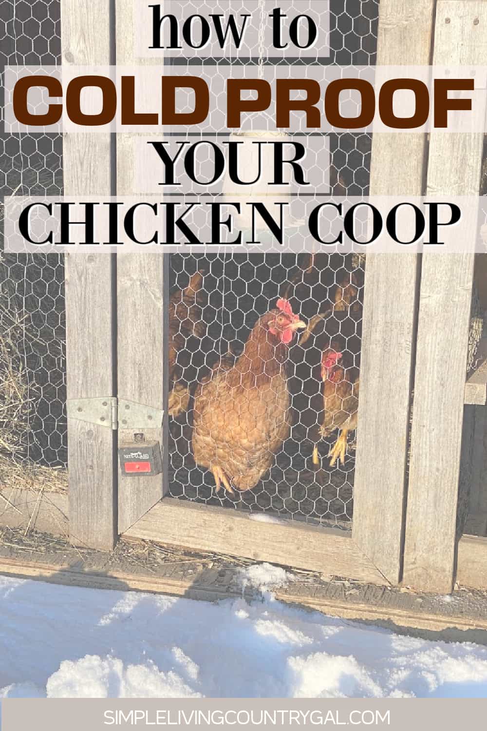 Winterproofing chicken coop Simple Living Country Gal