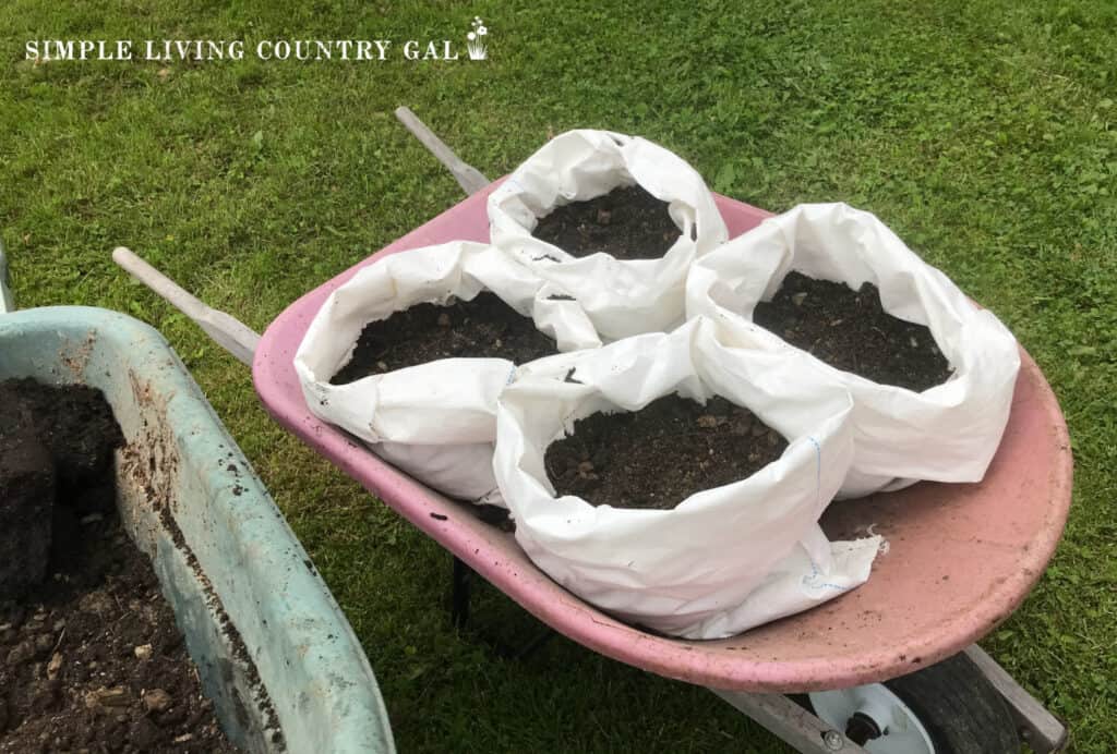 4 bags filled with soil in a red wheelbarrow.heic