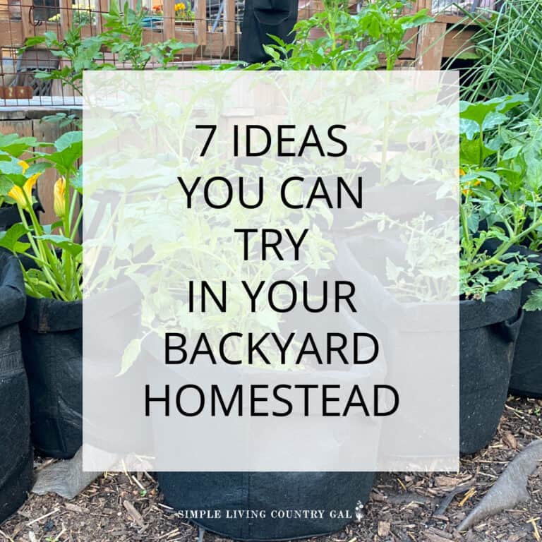 Backyard Homestead Ideas