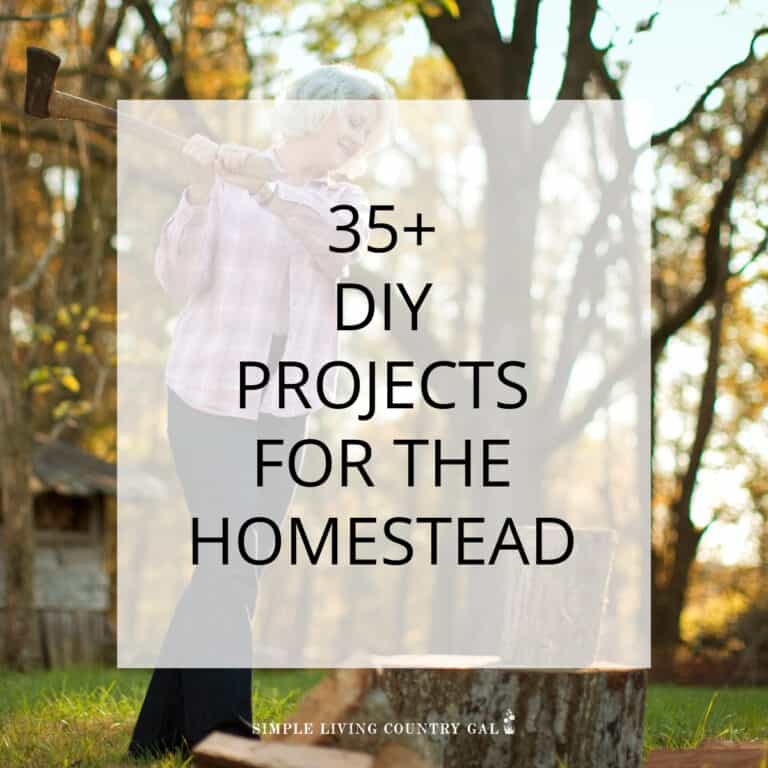 DIY Homestead Projects