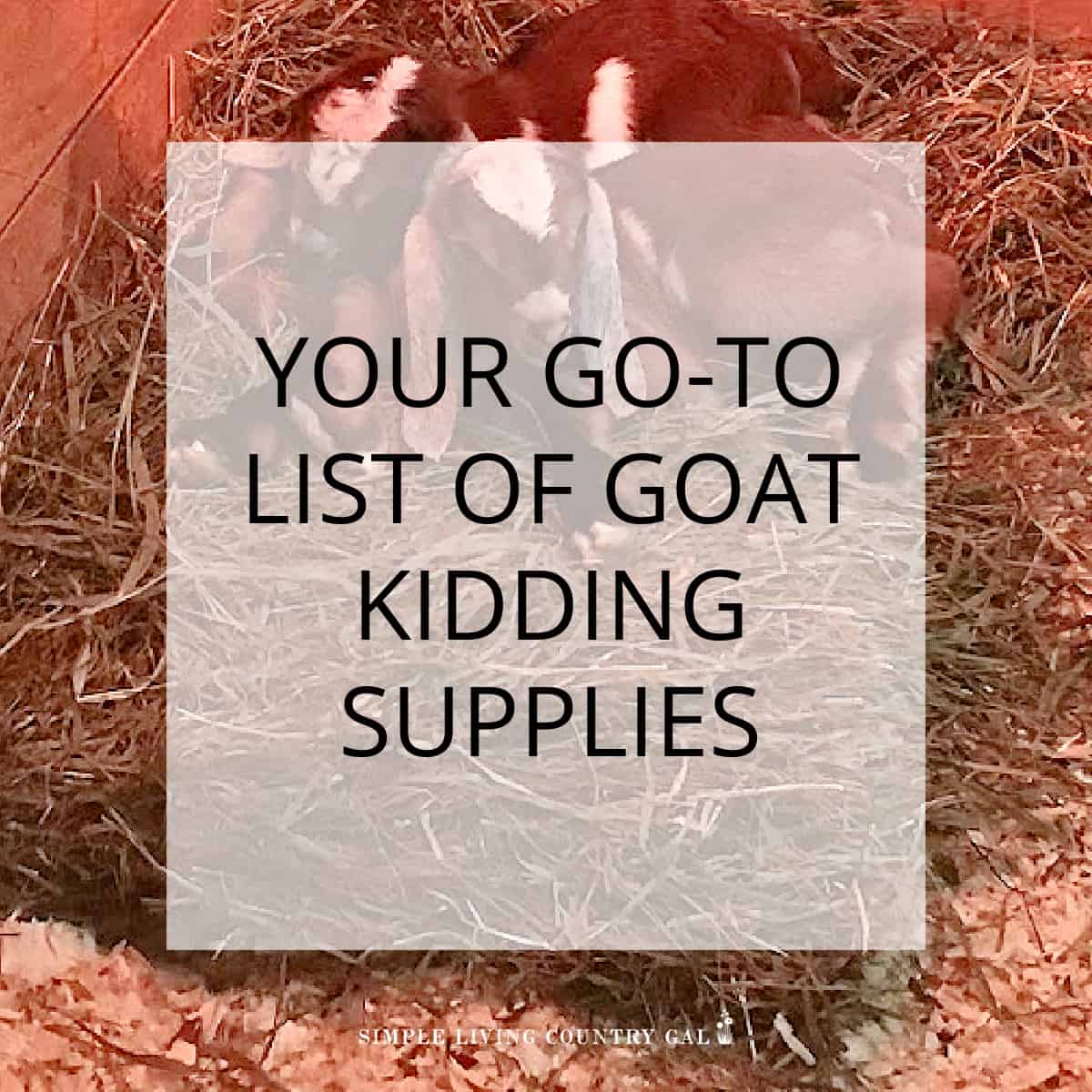 Goat Kidding Supplies | Simple Living Country Gal