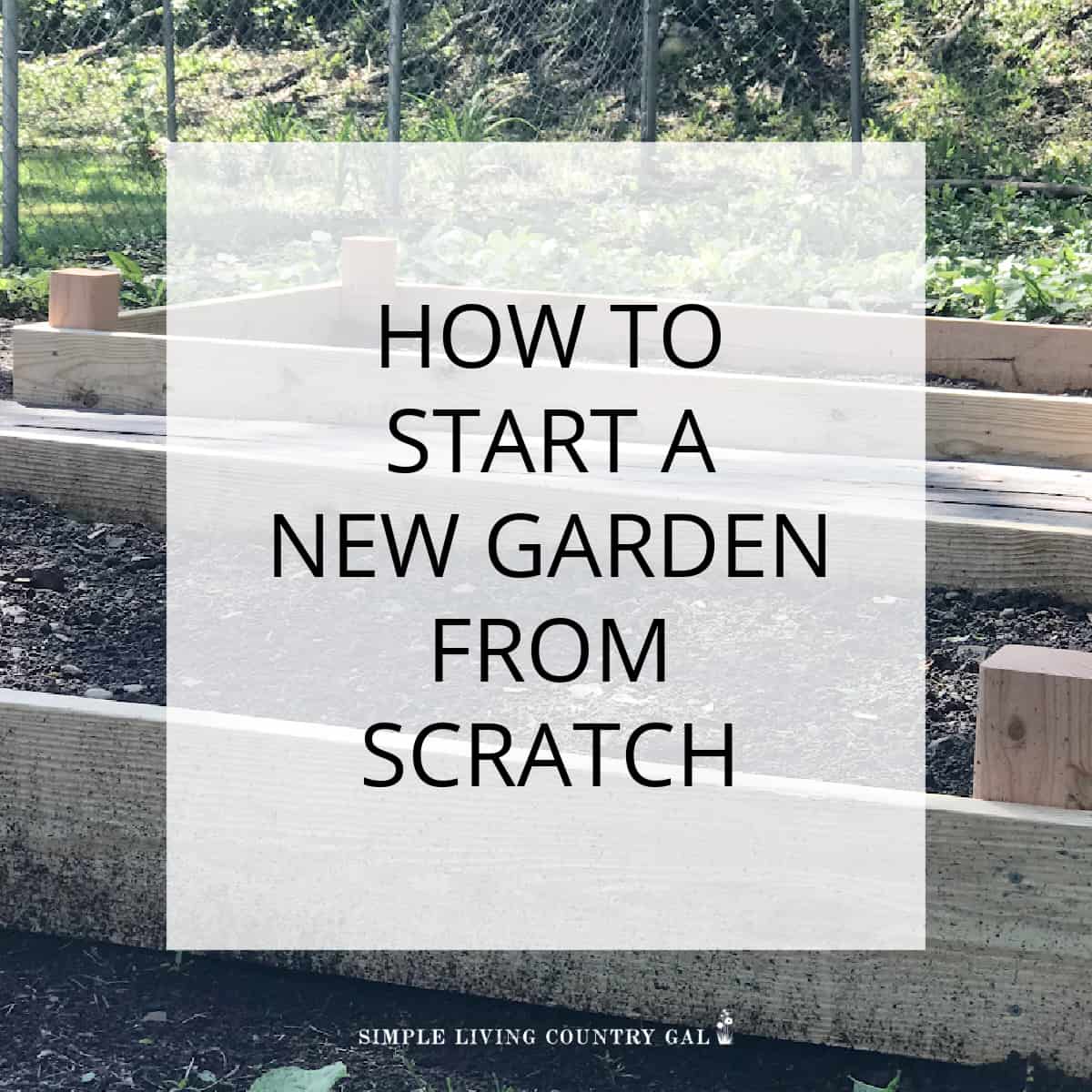 Starting a Garden From Scratch