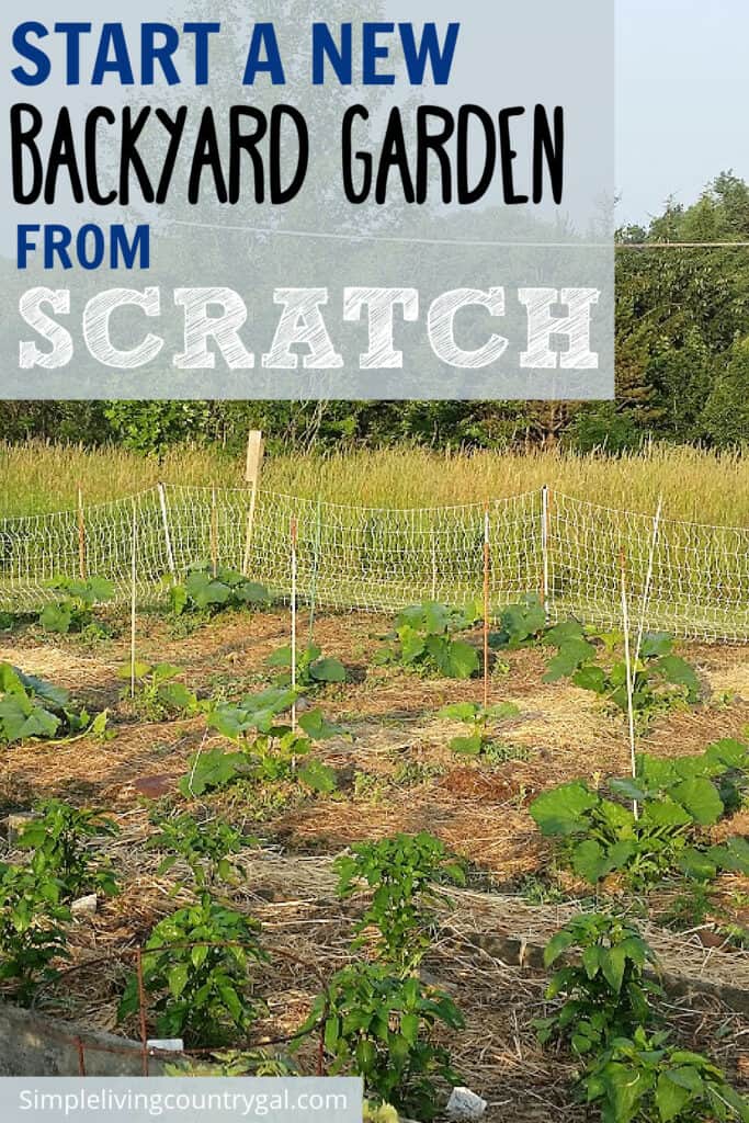 Starting a Garden From Scratch
