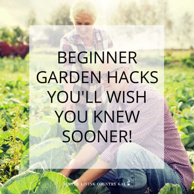 Tips for Beginner Gardeners