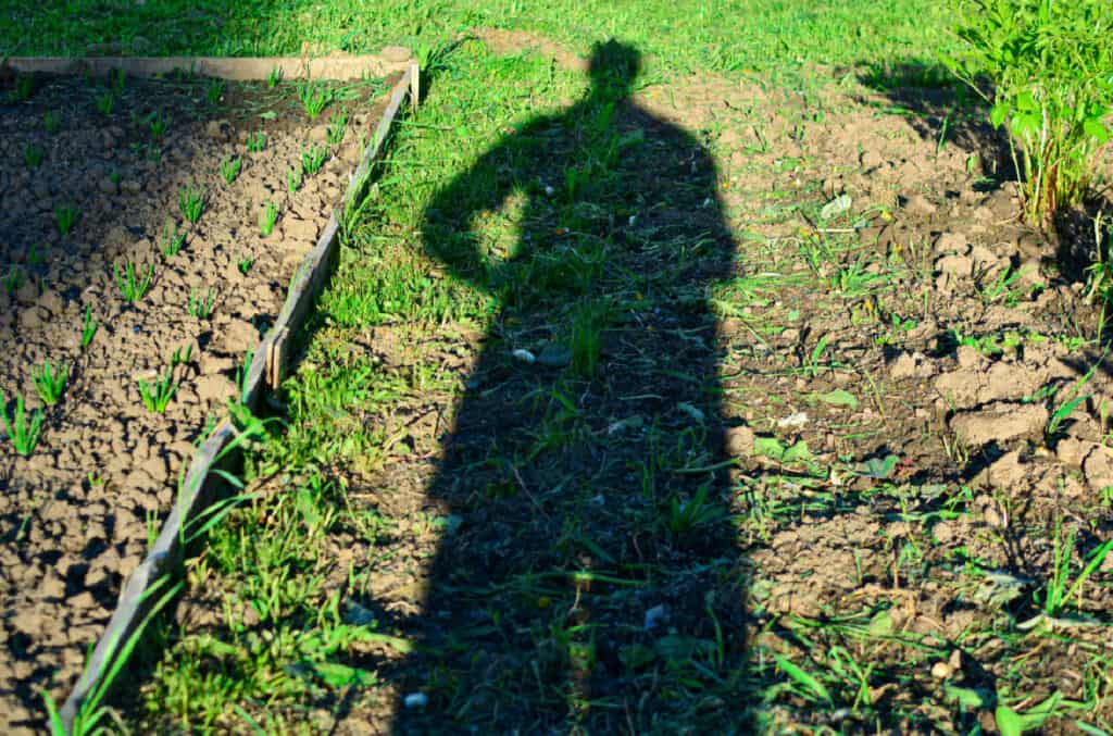 a person's shadow over a new spot for a garden