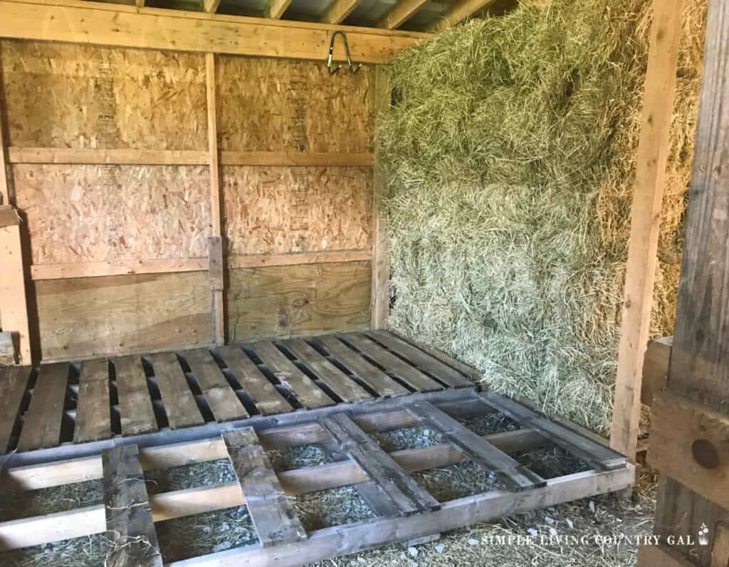 pallets layered on the ground of a barn with hay stacked to the right all the way to the ceiling