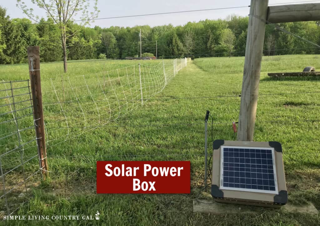 solar power box near to a fence for portable goat fencing