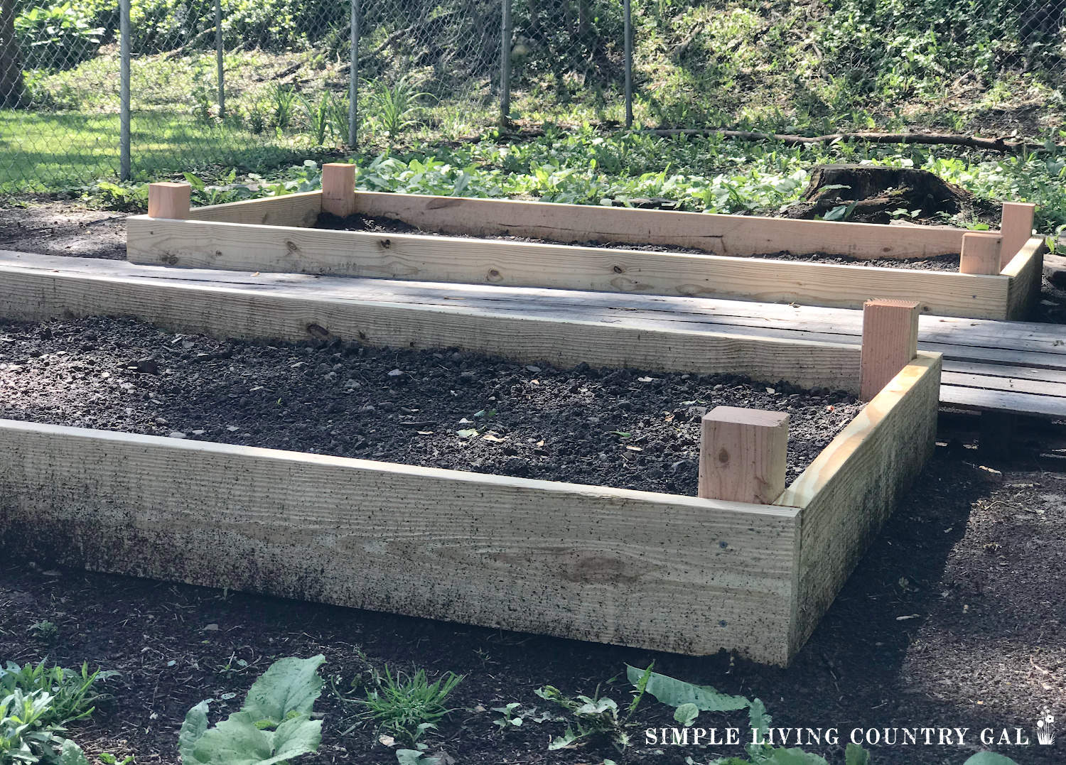 Starting a Garden From Scratch | Simple Living Country Gal