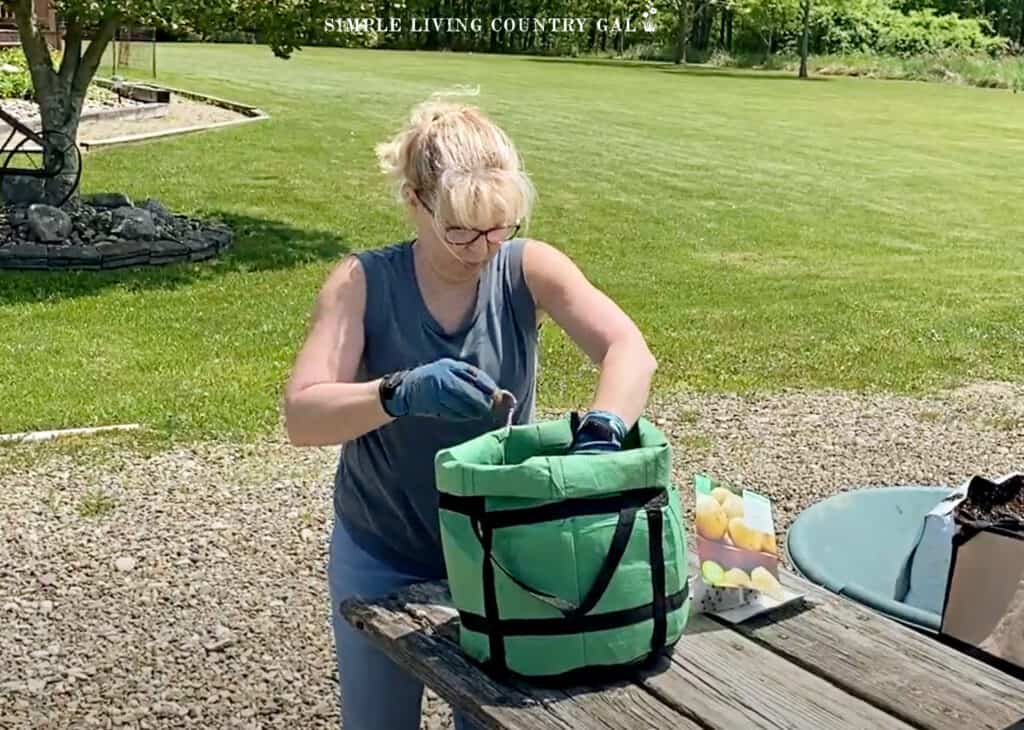woman planting potatoes in a grow bag for practical homesteading