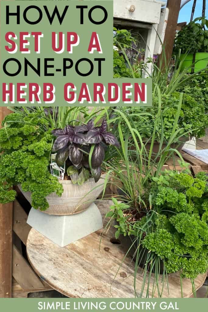 0ne pot herb garden