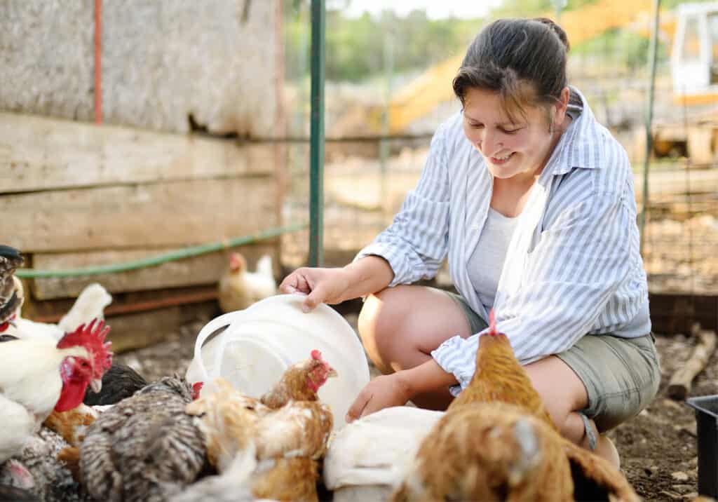 A midlife woman feeding a flock of chickens